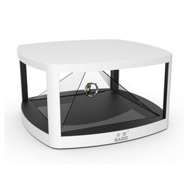40-calowy holograficzny wyświetlacz 3D All In One Standalone Hologram Unit 2GB AC110 - 240V