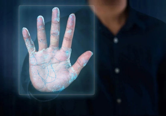 5 cala Dynamiczna Rozpoznawanie twarzy Czas obecności Kontroler dostępu Linux 2024 nowy